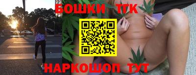 МДПВ Обь