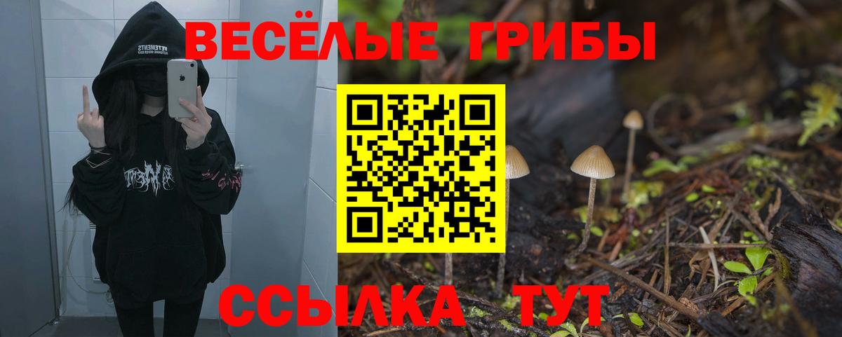 Псилоцибиновые грибы Cubensis  Вход с VPN  Славгород 
